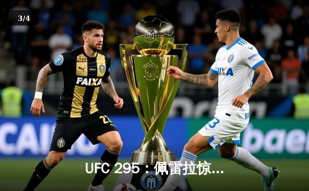 UFC 295：佩雷拉惊天逆转KO普罗哈兹卡，重夺轻重量级金腰带 - 3