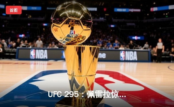 UFC 295：佩雷拉惊天KO卫冕成功，普罗哈兹卡轻量级王朝梦碎
