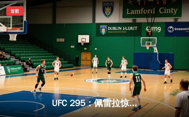 UFC 295：佩雷拉惊天逆转KO普罗哈兹卡，加冕轻重量级新王