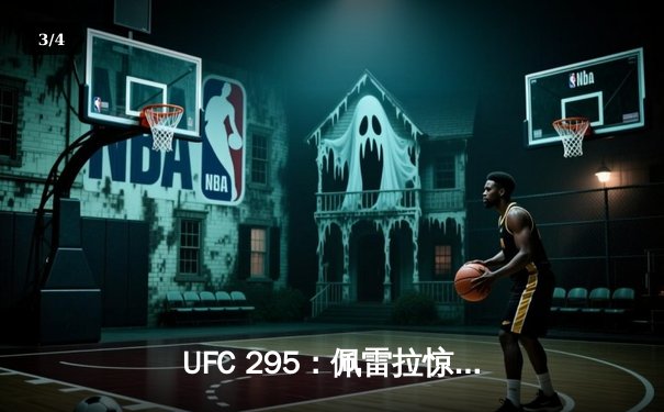 UFC 295：佩雷拉惊天逆转KO普罗哈兹卡，加冕轻重量级新王 - 3