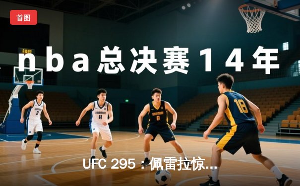 UFC 295：佩雷拉惊天KO卫冕成功，普罗哈兹卡轻量级王朝梦碎