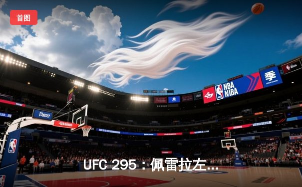 UFC 295：佩雷拉左勾拳终结普罗哈兹卡 轻重量级新王加冕