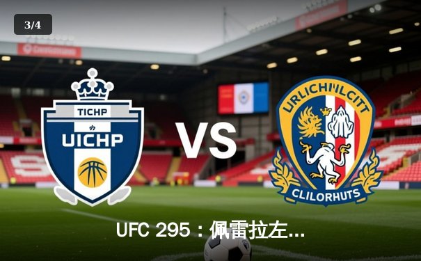 UFC 295：佩雷拉左勾拳撼动轻重量级格局，普罗哈兹卡王座易主 - 3