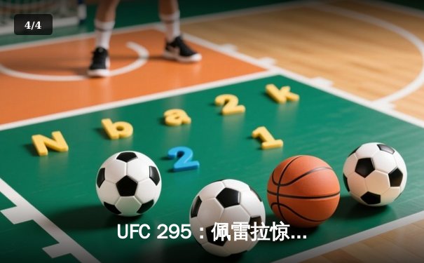 UFC 295：佩雷拉惊天逆转卫冕成功，普罗哈兹卡遗憾失冠 - 4