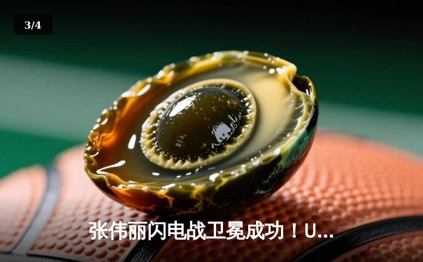 张伟丽闪电战卫冕成功！UFC300女子草量级上演经典对决 - 3