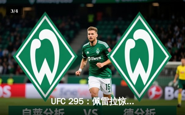 UFC 295：佩雷拉惊天KO卫冕成功，普罗哈兹卡轻重量级王朝梦碎 - 3