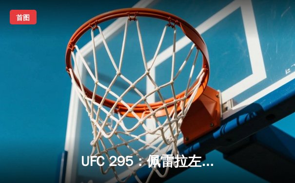 UFC 295：佩雷拉左勾拳终结普罗哈兹卡，重夺轻重量级金腰带